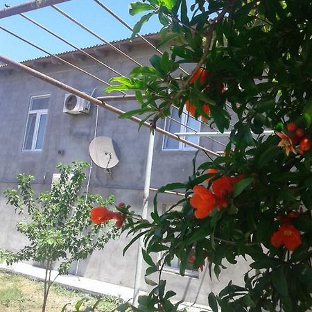 Apartment Near Baku Airport Екстериор снимка