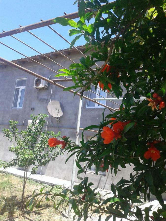 Apartment Near Baku Airport Екстериор снимка